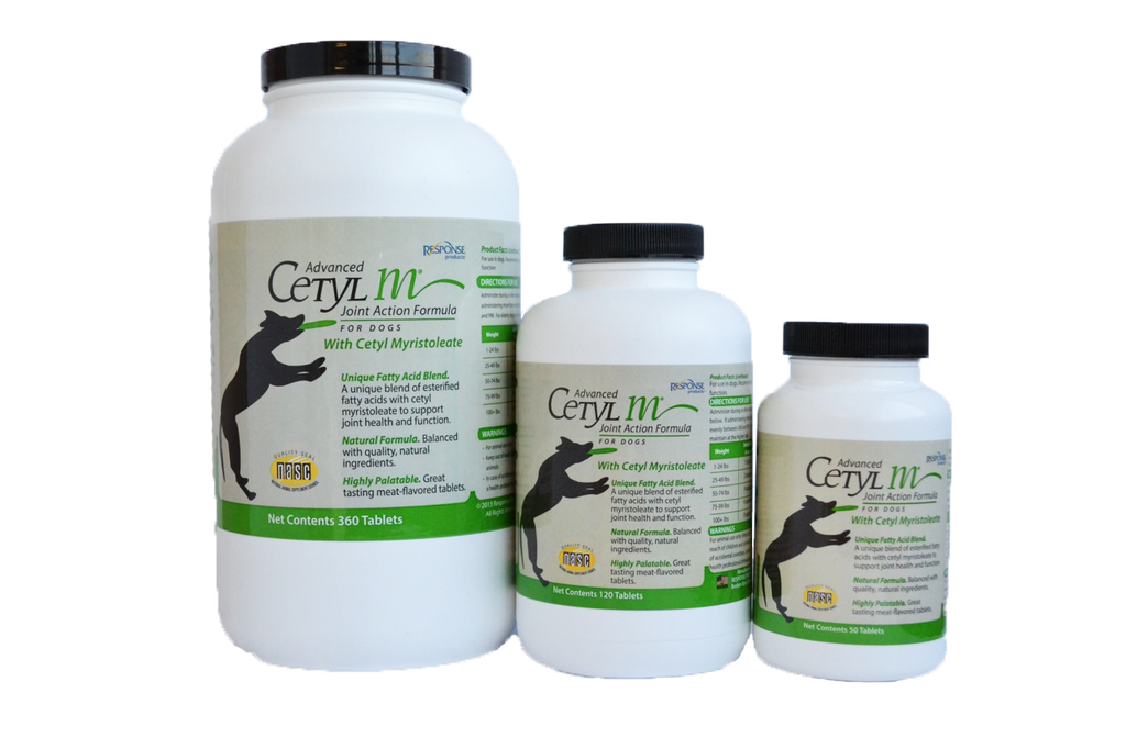 Joint Supplements for Pets