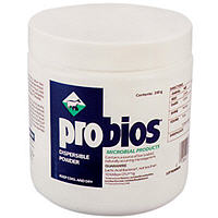 Prebiotics & Probiotics - Small Livestock